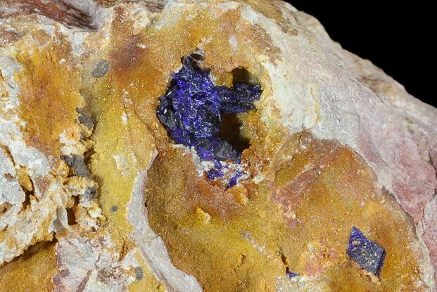 Large Azurite Crystal In Matrix - Morocco #49450